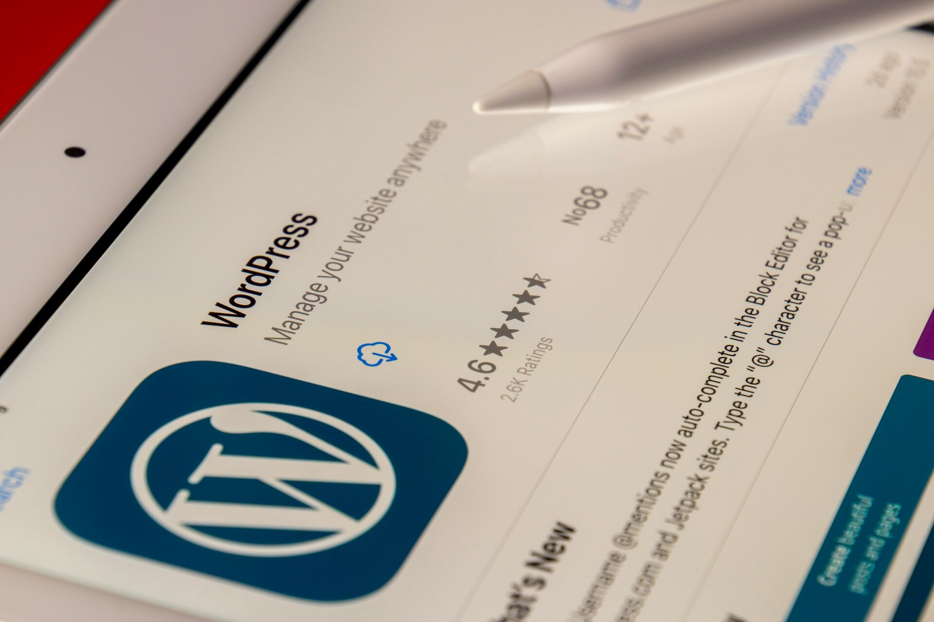Should I still be using WordPress?